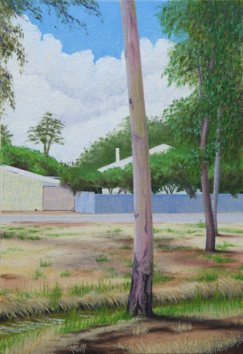painting, Belalie Creek 2010 oil on canvas board